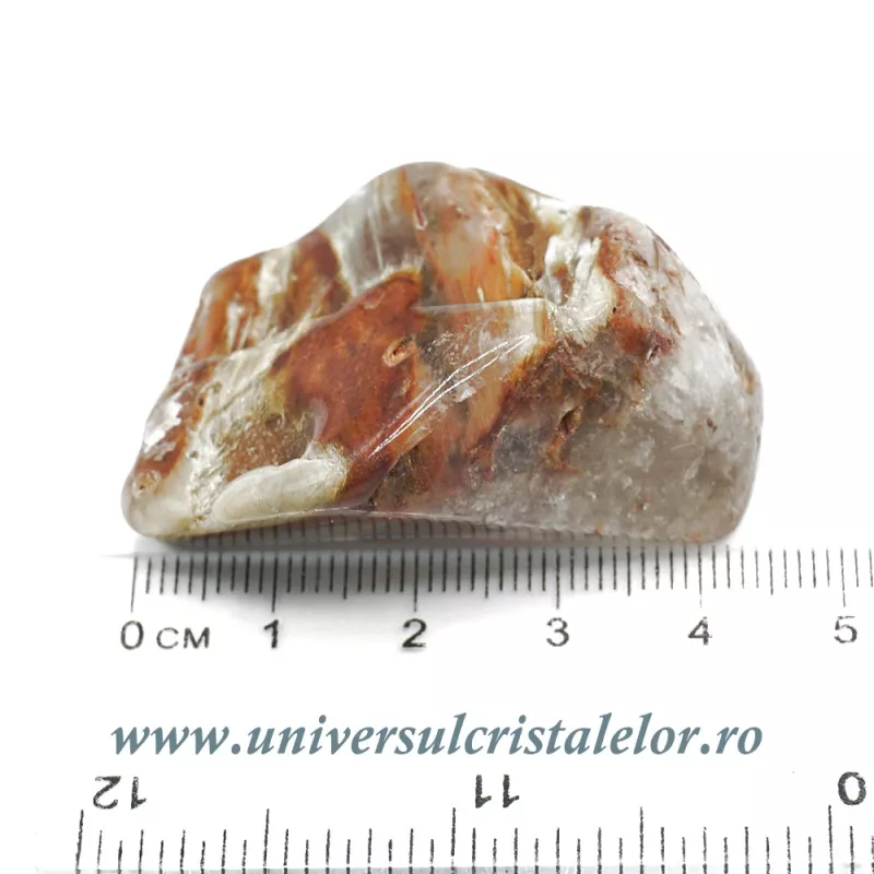 Cuart amfibol Cuart amfibol