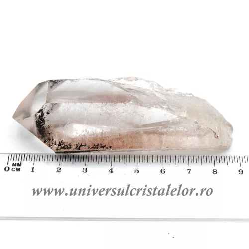 Cuart lemurian