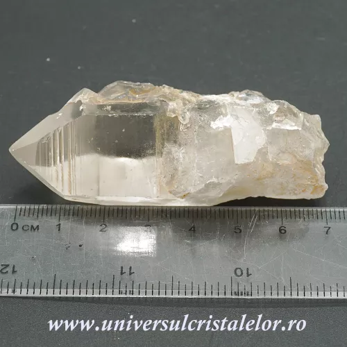 Cuart lemurian Cuart lemurian