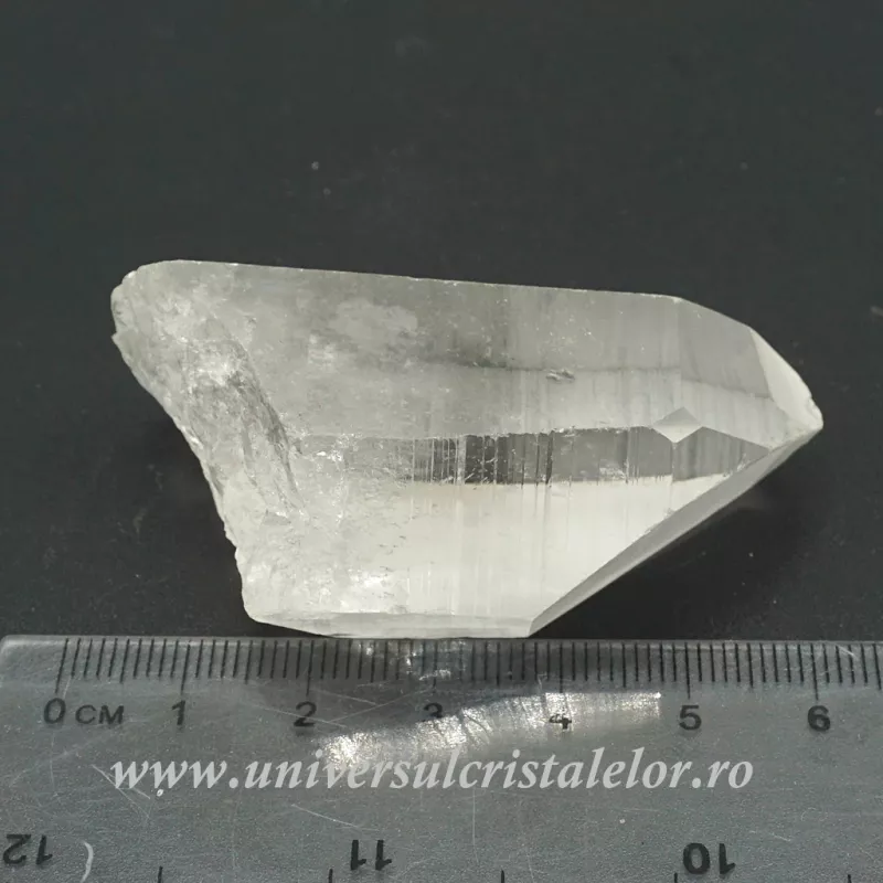 Cuart lemurian Cuart lemurian