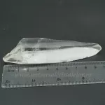 Cuart lemurian Cuart lemurian
