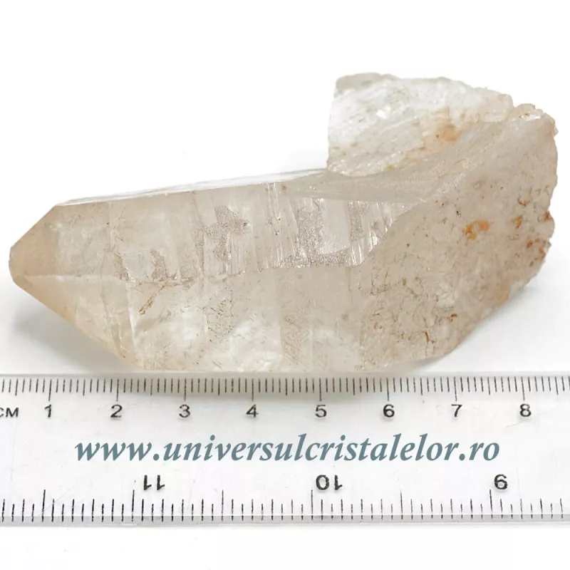 Cuart lemurian Cuart lemurian