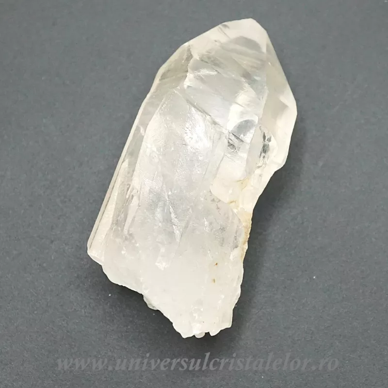 Cuart lemurian