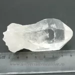 Cuart lemurian
