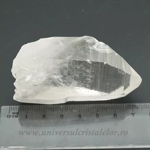 Cuart lemurian