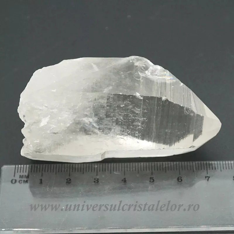 Cuart lemurian