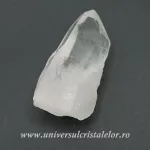 Cuart lemurian