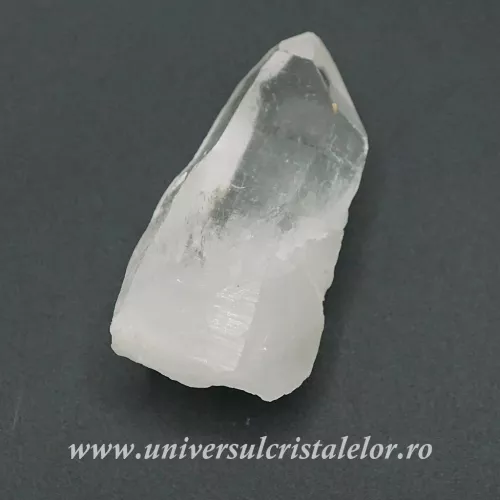 Cuart lemurian