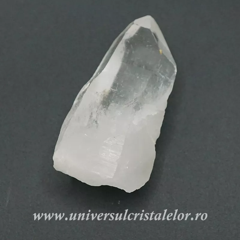 Cuart lemurian