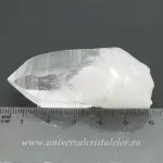 Cuart lemurian