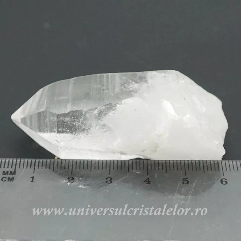 Cuart lemurian