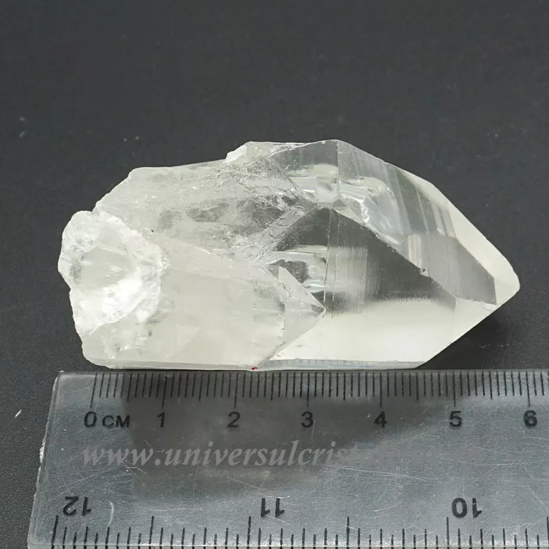 Cuart lemurian Cuart lemurian