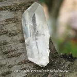 Cuart lemurian Cuart lemurian