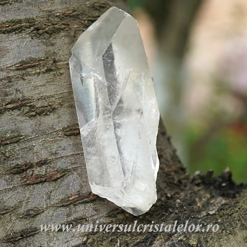 Cuart lemurian Cuart lemurian