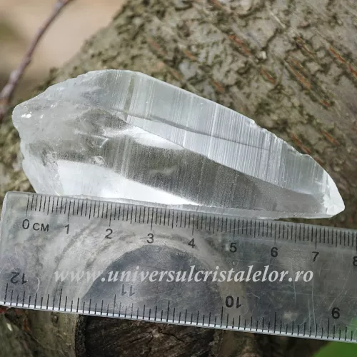 Cuart lemurian Cuart lemurian
