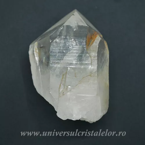 Cuart lemurian