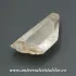Cuart lemurian