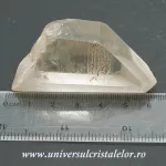 Cuart lemurian Cuart lemurian