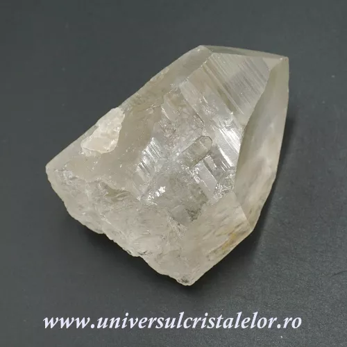 Cuart lemurian Cuart lemurian