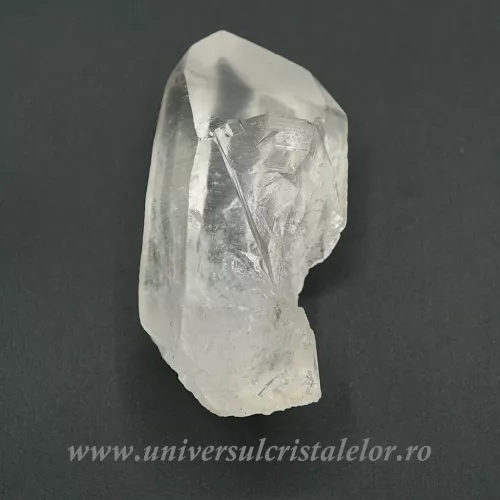 Cuart lemurian