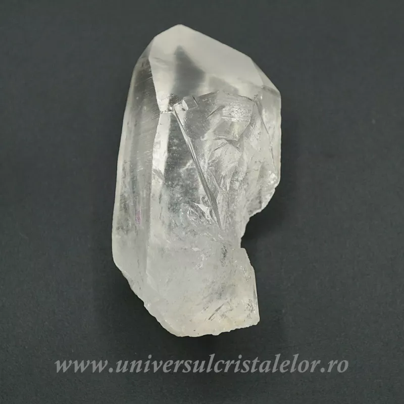 Cuart lemurian