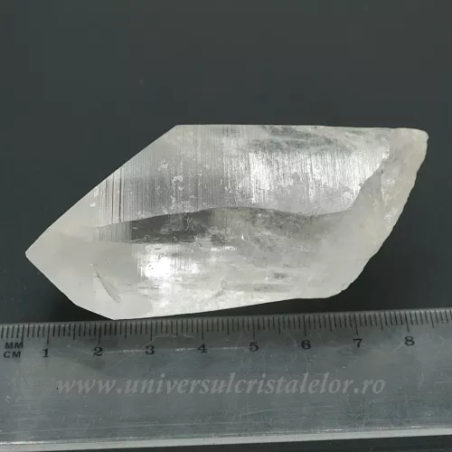 Cuart lemurian