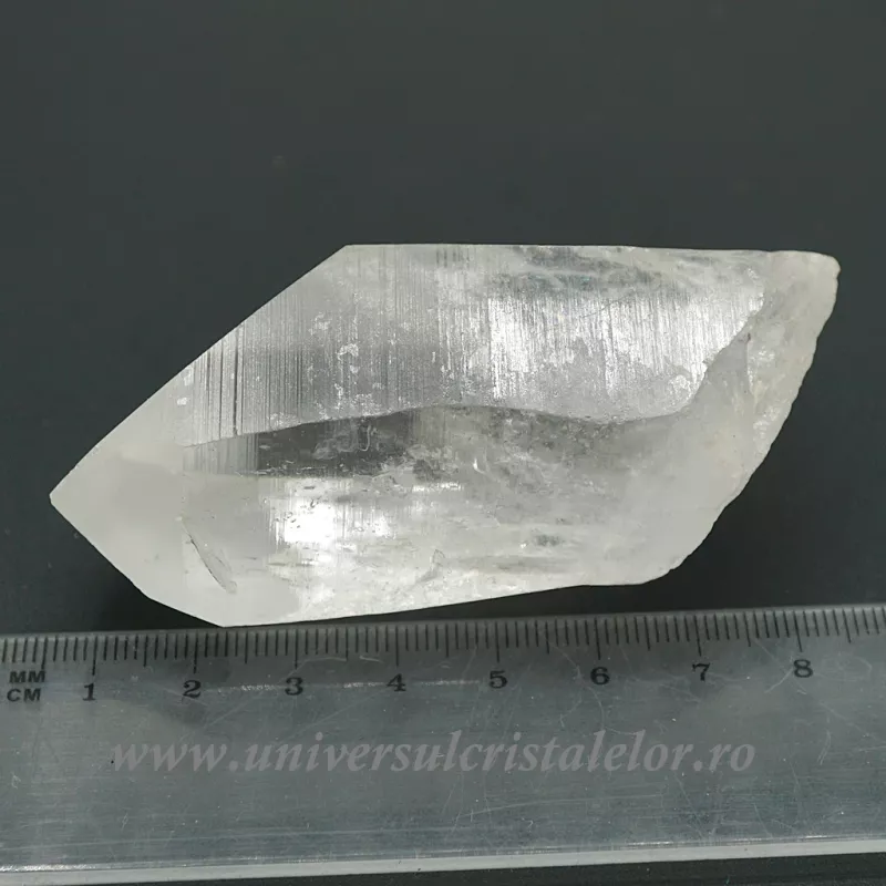 Cuart lemurian