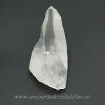 Cuart lemurian