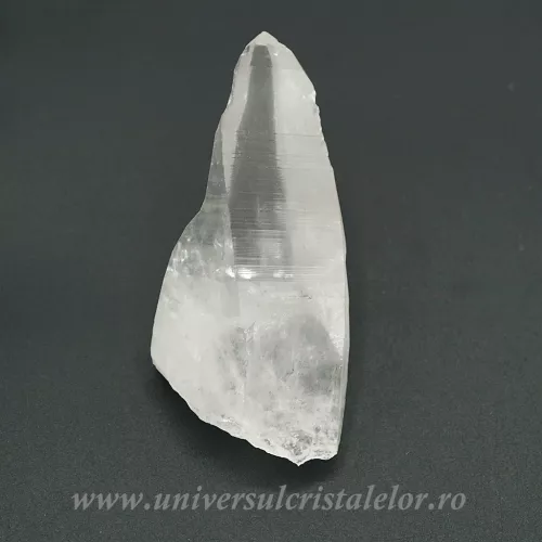Cuart lemurian