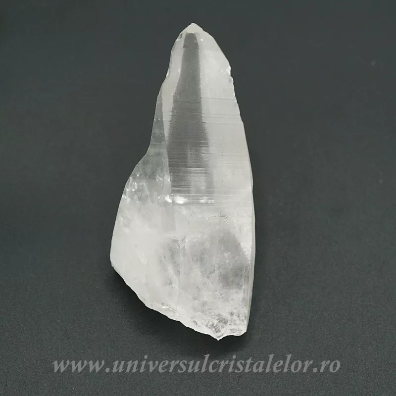 Cuart lemurian
