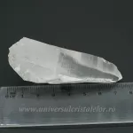 Cuart lemurian