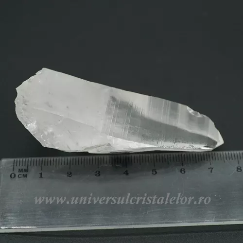 Cuart lemurian
