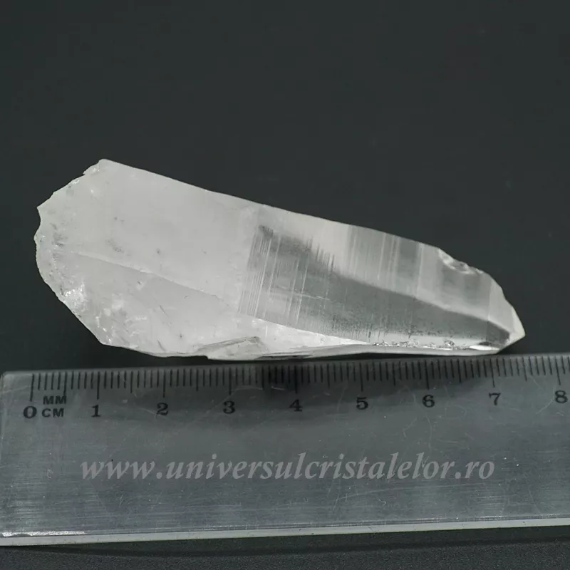 Cuart lemurian