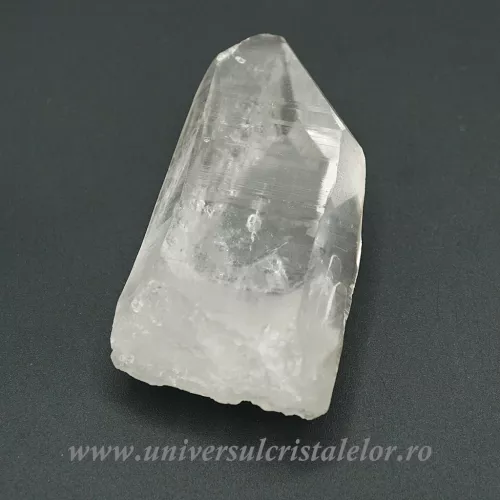Cuart lemurian