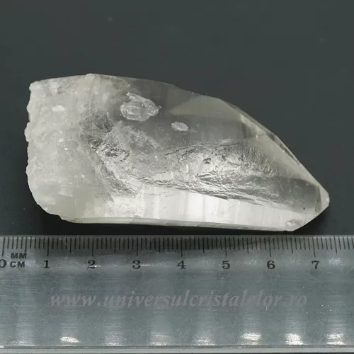 Cuart lemurian