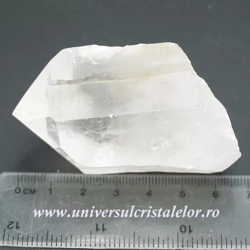 Cuart lemurian Cuart lemurian