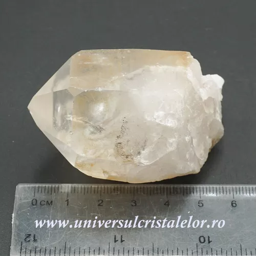 Cuart lemurian Cuart lemurian