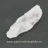 Cuart lemurian (radacina)