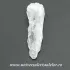 Cuart lemurian (radacina)