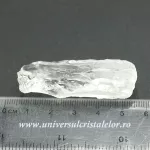 Cuart lemurian (radacina) Cuart lemurian (radacina)