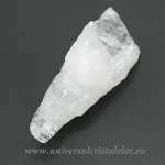 Cuart lemurian (radacina)