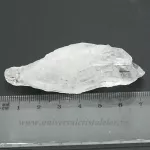 Cuart lemurian (radacina)