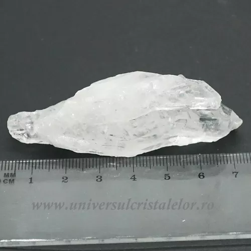 Cuart lemurian (radacina)