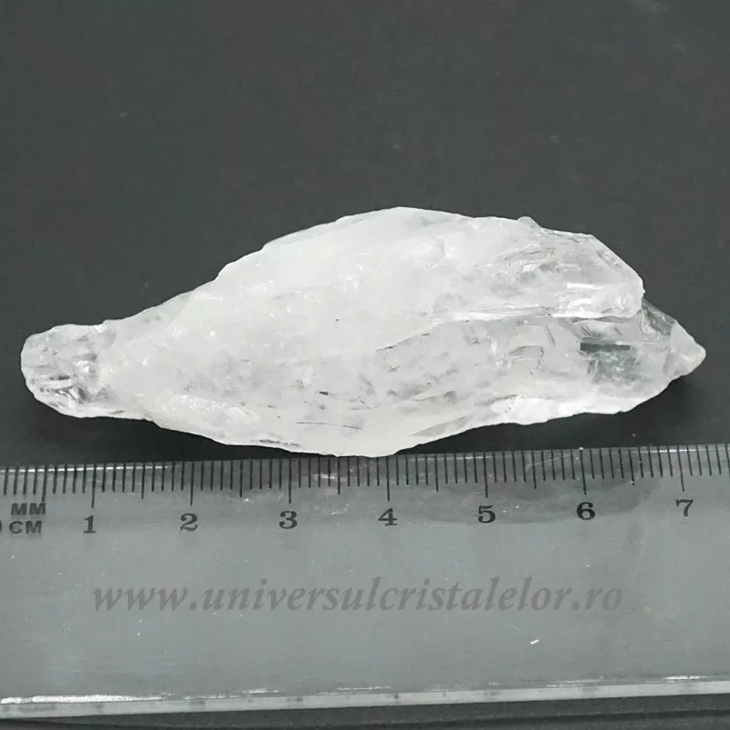 Cuart lemurian (radacina)