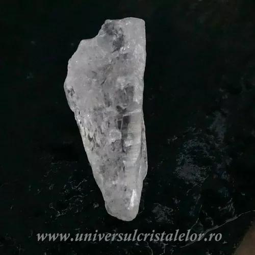 Cuart lemurian (radacina)