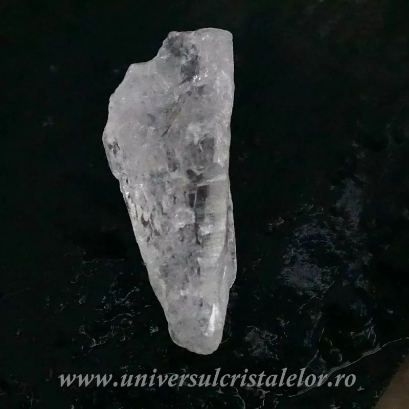 Cuart lemurian (radacina)