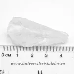 Cuart lemurian (radacina)