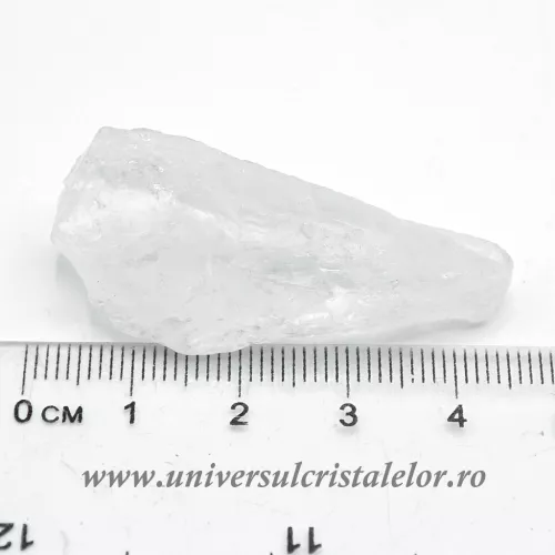 Cuart lemurian (radacina)