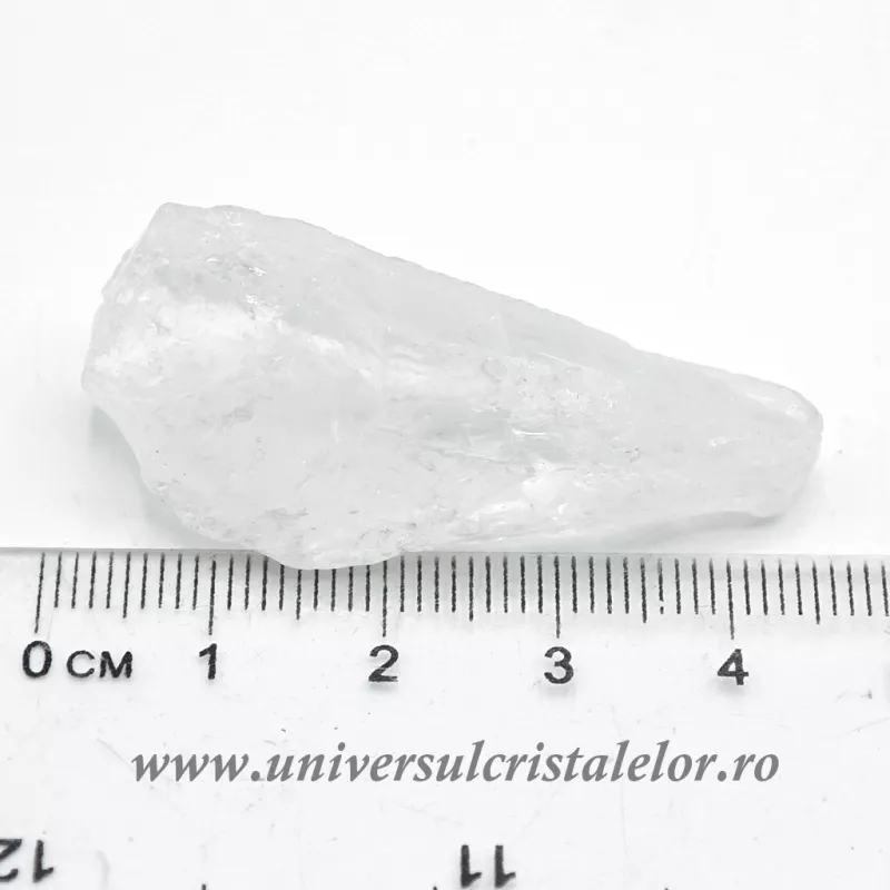 Cuart lemurian (radacina)