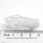 Cuart lemurian (radacina)